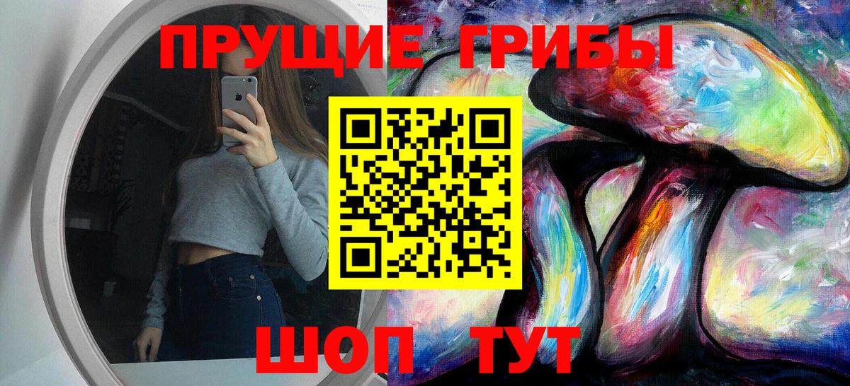Псилоцибиновые грибы GOLDEN TEACHER Советский