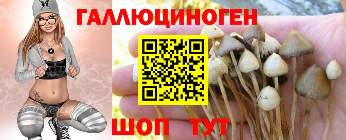 Псилоцибиновые грибы мицелий  Вход с VPN  Советский 